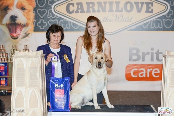 Miris remporte le best in show jeune femelle 